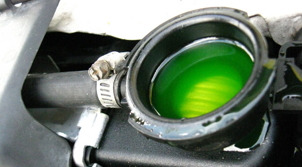 Green radiator fluid seen inside a radiator with a black hose and hose clamp RADIATOR SERVICE IN PRESCOTT, AZ